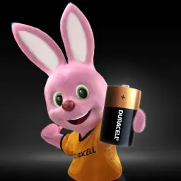 Duracell Pilhas Alcalinas D Grande Pack 2 Unidades – Ideal para Lanternas — imagem 5